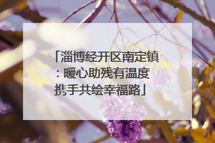 淄博经开区南定镇：暖心助残有温度 携手共绘幸福路